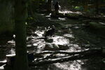 DSC_6916.JPG